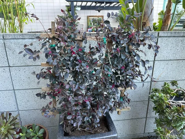 $599,000 | 1160 Mission Street, Unit 510, San Francisco, CA 94103