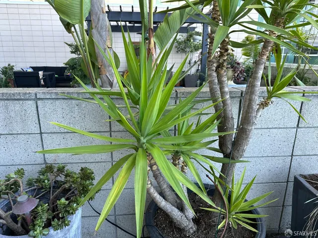 $599,000 | 1160 Mission Street, Unit 510, San Francisco, CA 94103