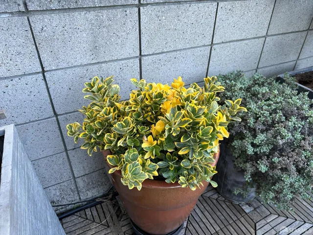 $599,000 | 1160 Mission Street, Unit 510, San Francisco, CA 94103