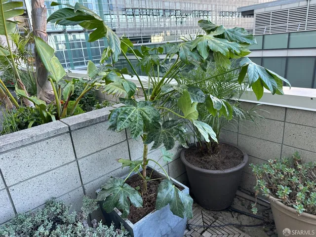 $599,000 | 1160 Mission Street, Unit 510, San Francisco, CA 94103