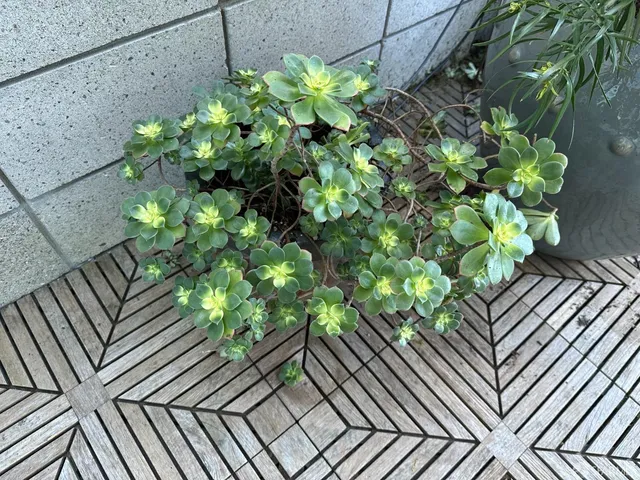 $599,000 | 1160 Mission Street, Unit 510, San Francisco, CA 94103