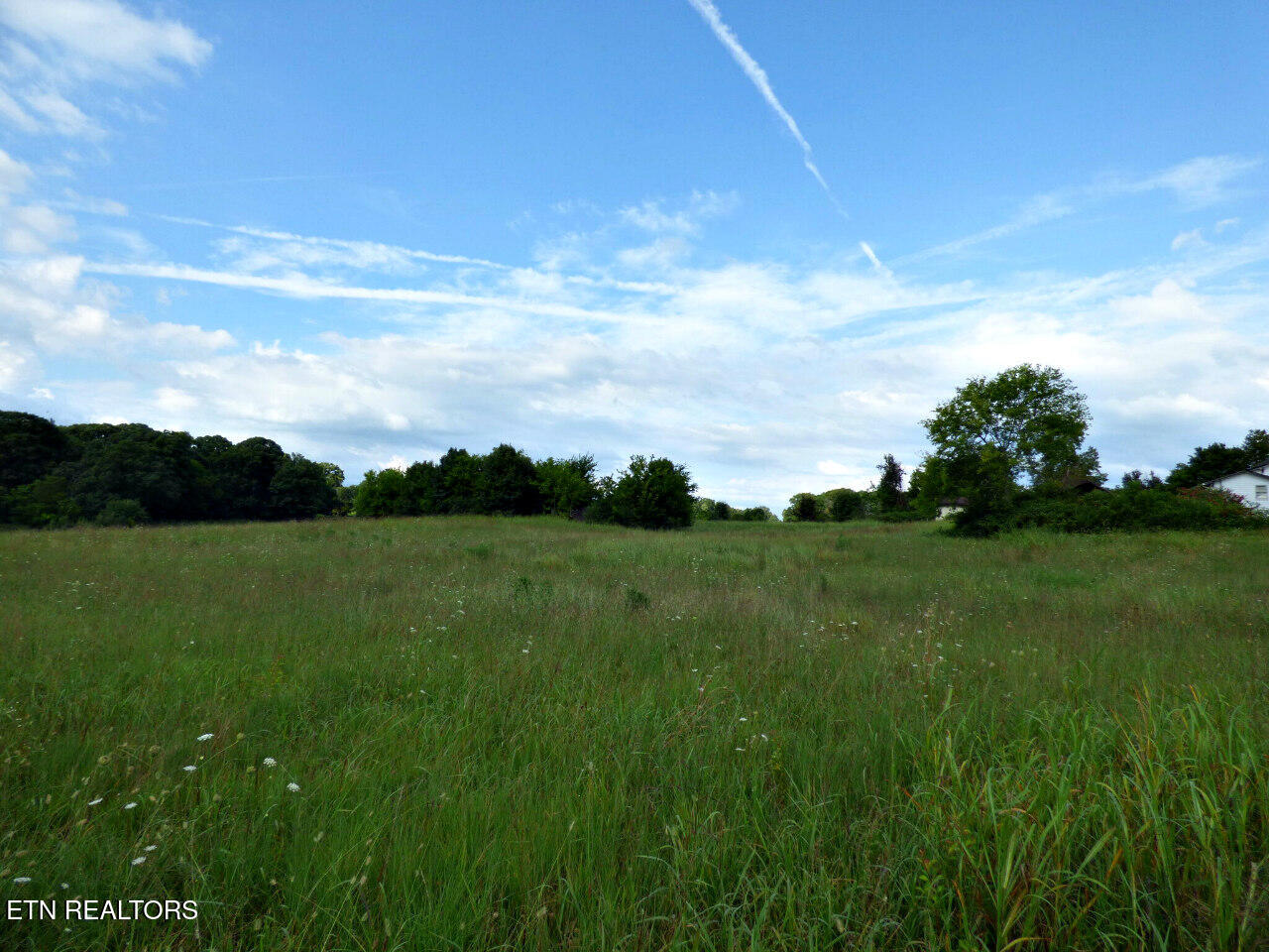 3 Wells Spring Road Dandridge, TN 37725 - Photo 13 of 18 P1310599