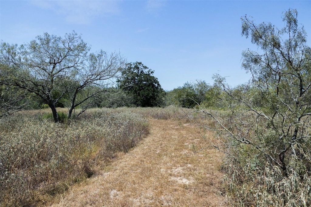 10791 Roy Road Flatonia, TX 78941 - Photo 16 of 29 Gallery Image 16