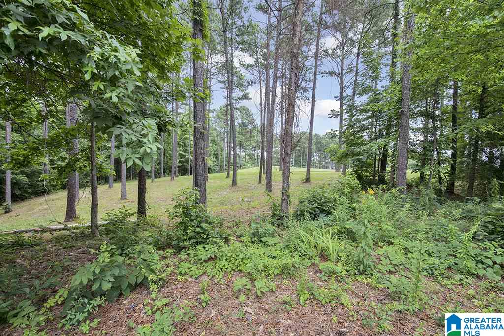 3924 Butler Springs Way Birmingham, AL 35226 - Photo 48 of 50