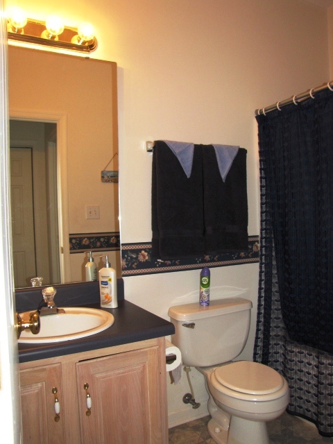 527 Deer Ridge Lane Vinton, VA 24179 - Photo 13 of 28 Deer Ridge 010