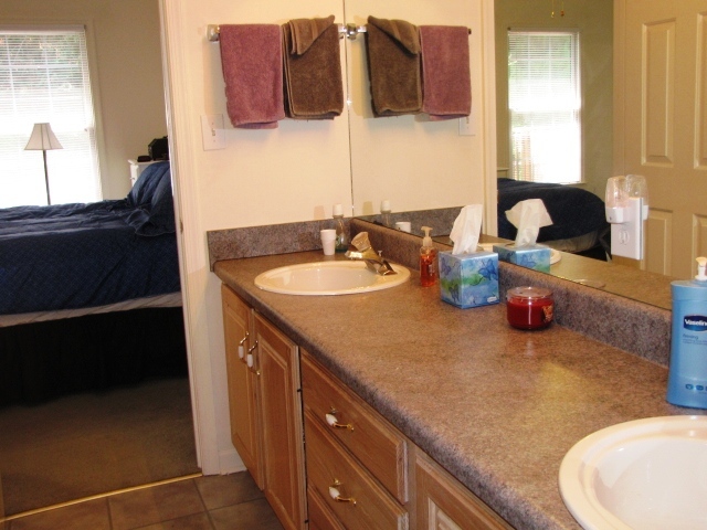 527 Deer Ridge Lane Vinton, VA 24179 - Photo 16 of 28 Deer Ridge 013