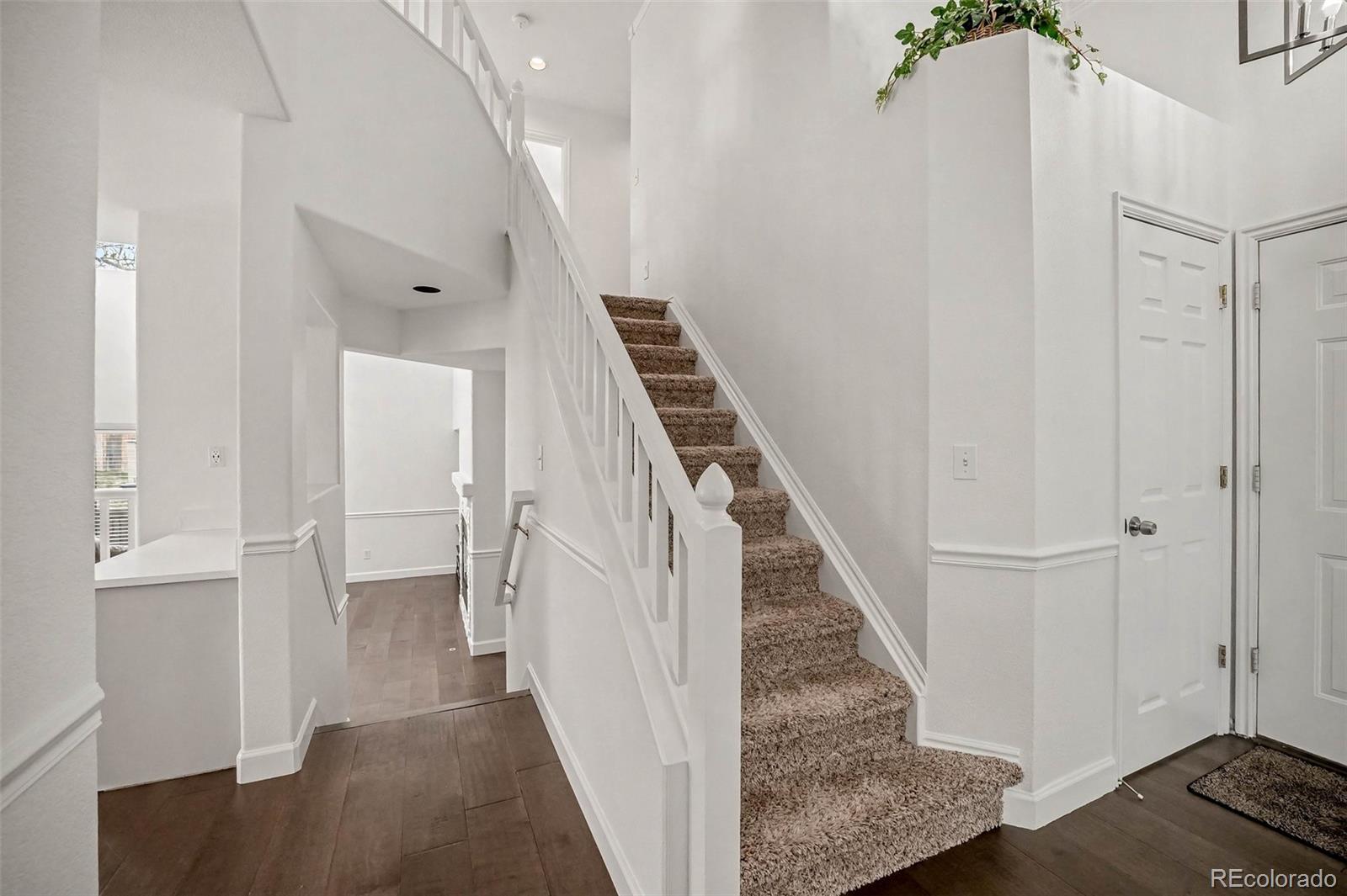 9308 Wolfe Drive Highlands Ranch, CO 80129 - Photo 10 of 50
