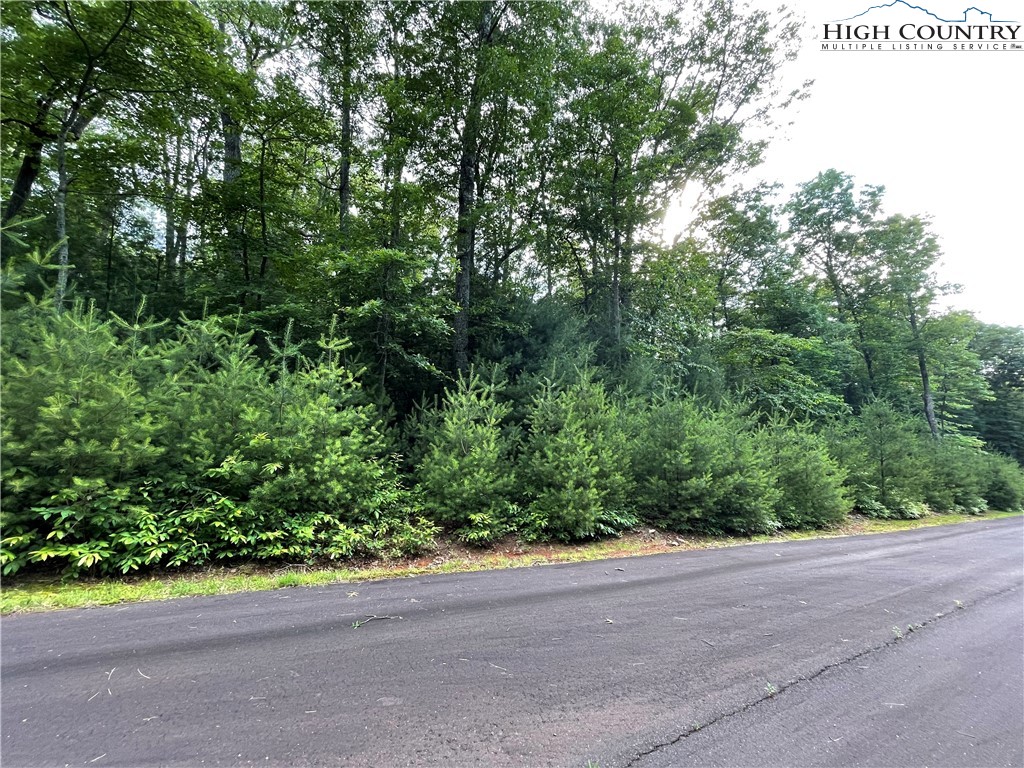 Lot#33 Sonterra Ridge Lansing, NC 28643 - Photo 3 of 8