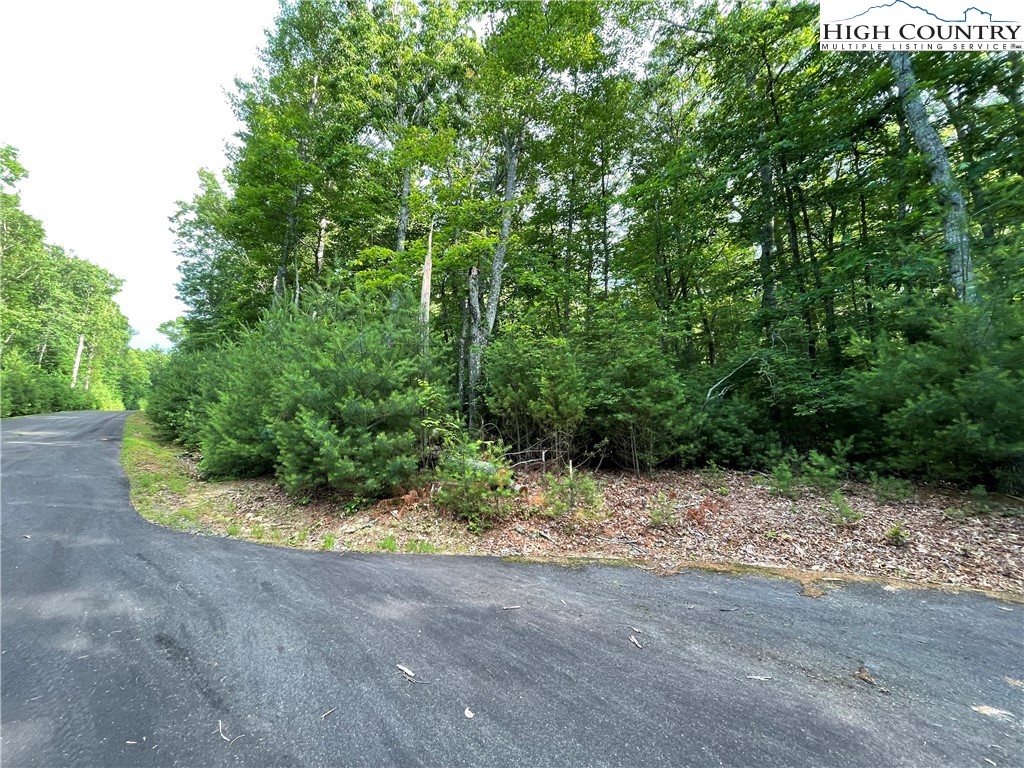 Lot#33 Sonterra Ridge Lansing, NC 28643 - Photo 4 of 8 a view of a back yard