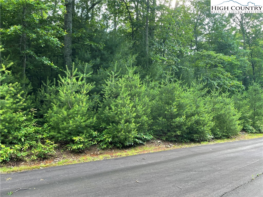 Lot#33 Sonterra Ridge Lansing, NC 28643 - Photo 7 of 8 an outdoor view of yard with green space