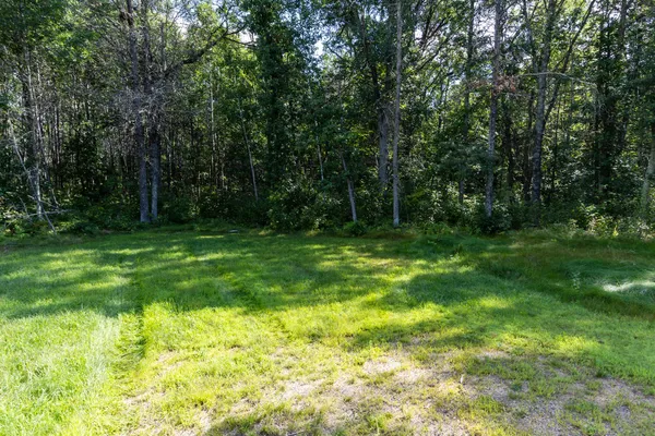 $179,900 | 371 Jenkins Mn 56472, Pine River, MN 56474
