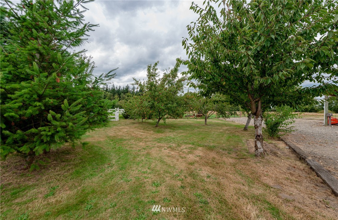 6565 Old Guide Road Bellingham, WA 98226 - Photo 11 of 27 a view of backyard with green space