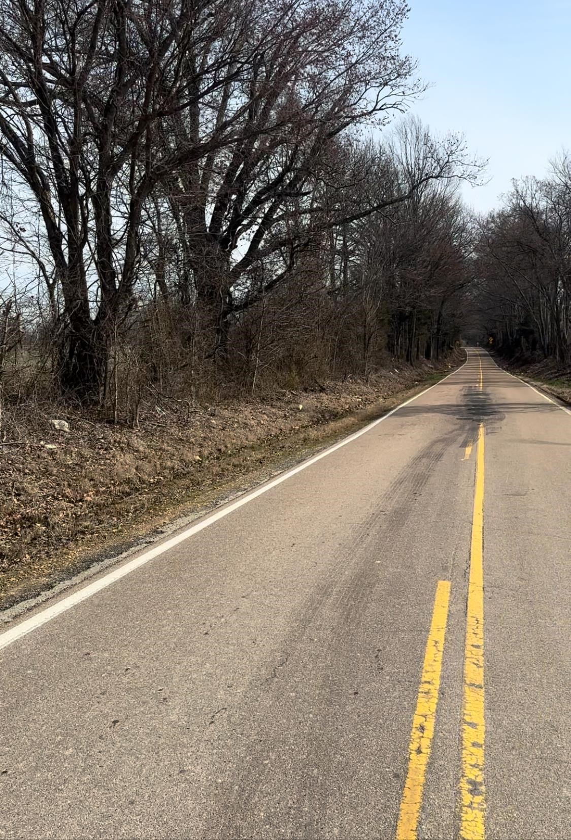 0 Thorpe Drive Mason, TN 38049 - Photo 11 of 11 a view of a yard with a large tree