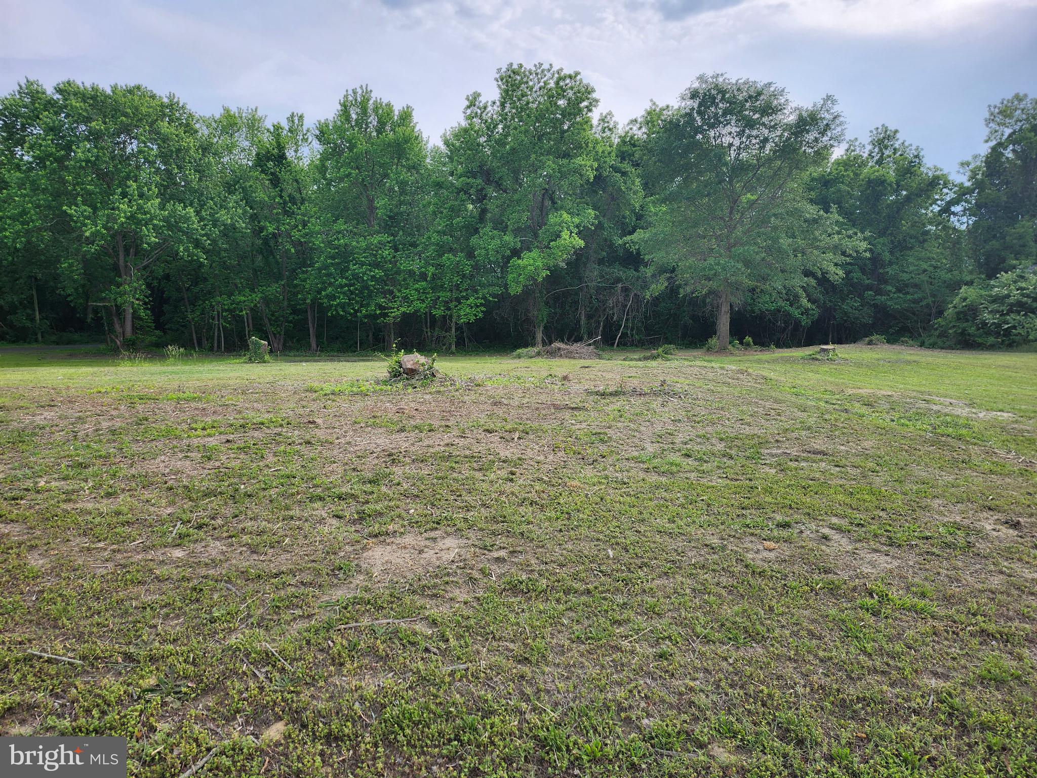 2678 Bank Road Nanticoke, MD 21840 - Photo 2 of 2 a view of a yard with a tree