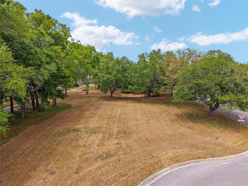 303 Southwest 129 Terrace Newberry, FL 32669 - Photo 67 of 75 a view of a yard with a tree