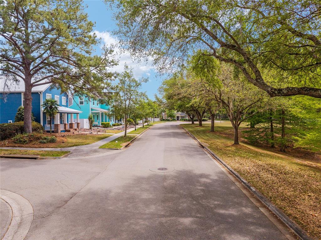 303 Southwest 129 Terrace Newberry, FL 32669 - Photo 71 of 75 a view of swimming pool with large trees and a big yard