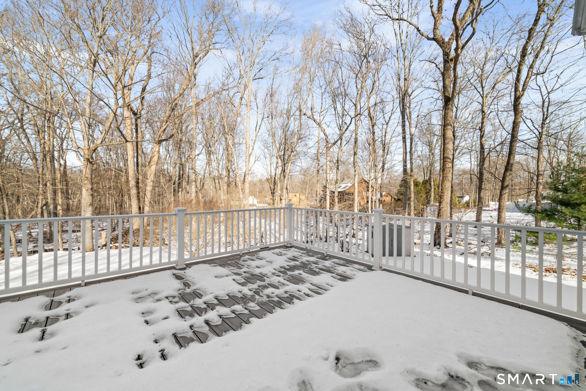 165 Garrigus Court Wolcott, CT 06716 - Photo 39 of 40 a view of a park with a large tree