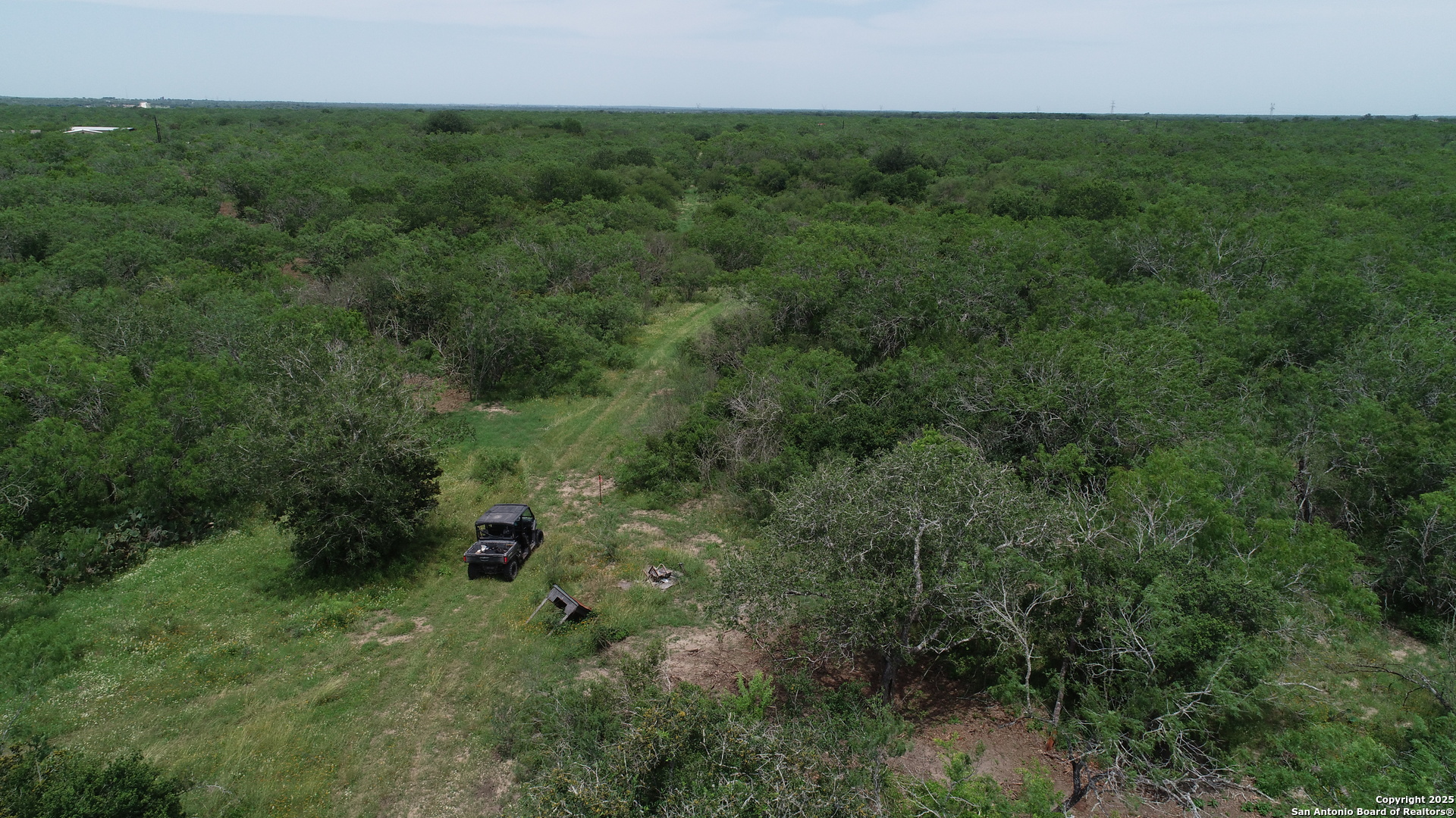 a view of a lush green forest