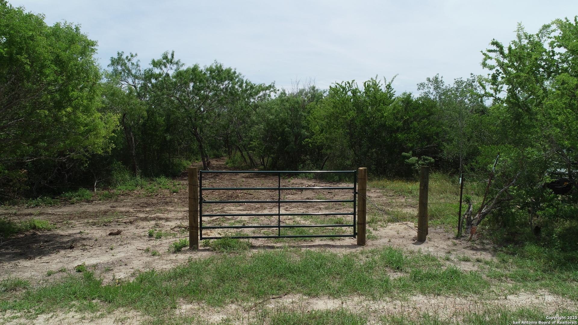 Tbd T10 Pierce Road Goliad, TX 77963 - Photo 2 of 13 a view of backyard with green space