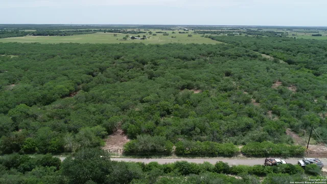 a view of a lush green forest with lots of trees