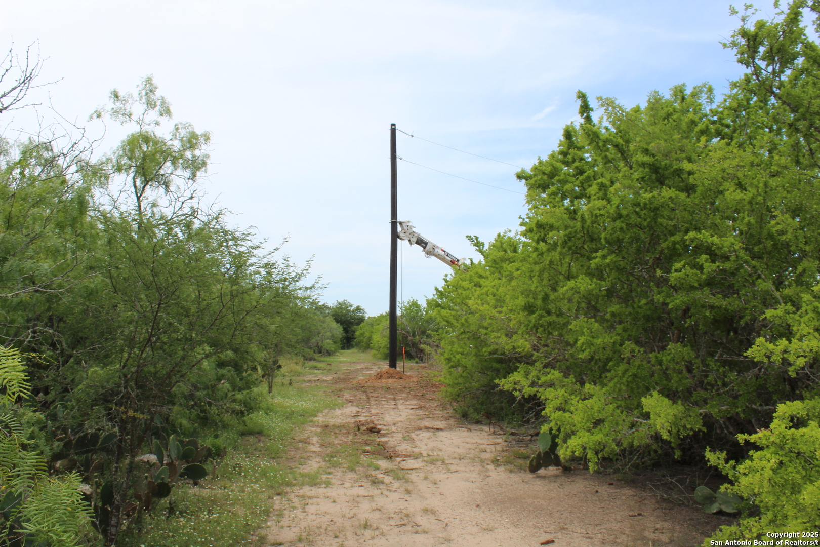 Tbd T10 Pierce Road Goliad, TX 77963 - Photo 4 of 13 a view of a forest