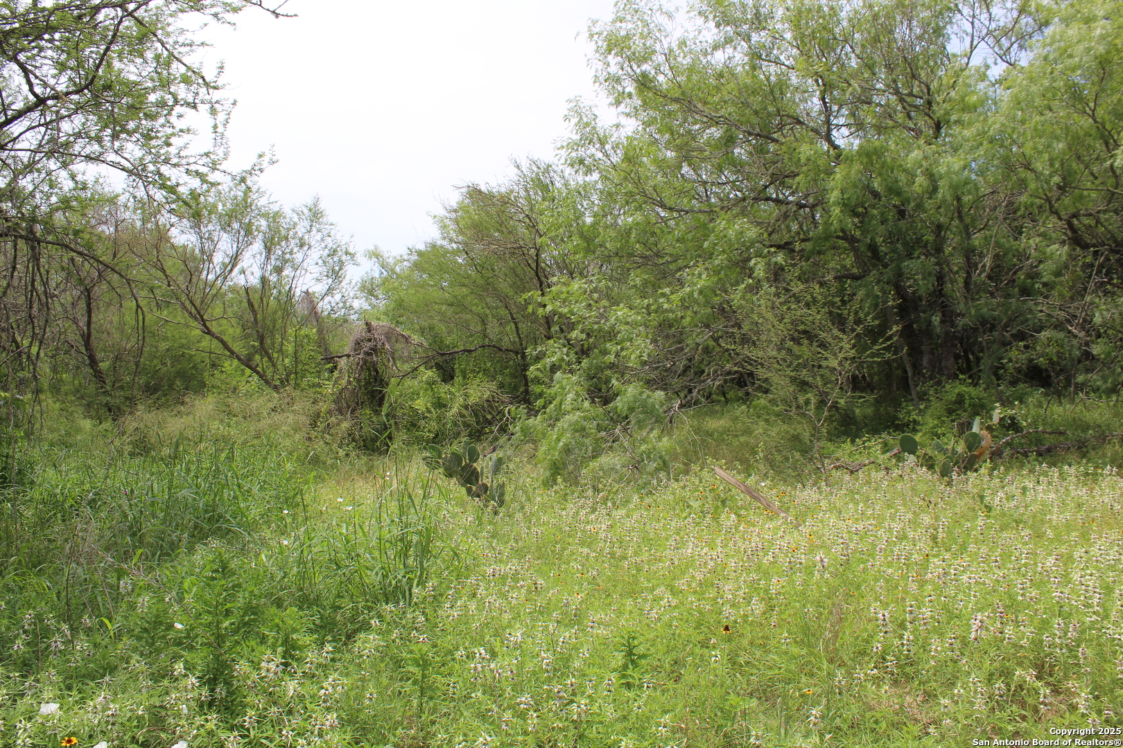 Tbd T10 Pierce Road Goliad, TX 77963 - Photo 9 of 13 a view of a lush green space