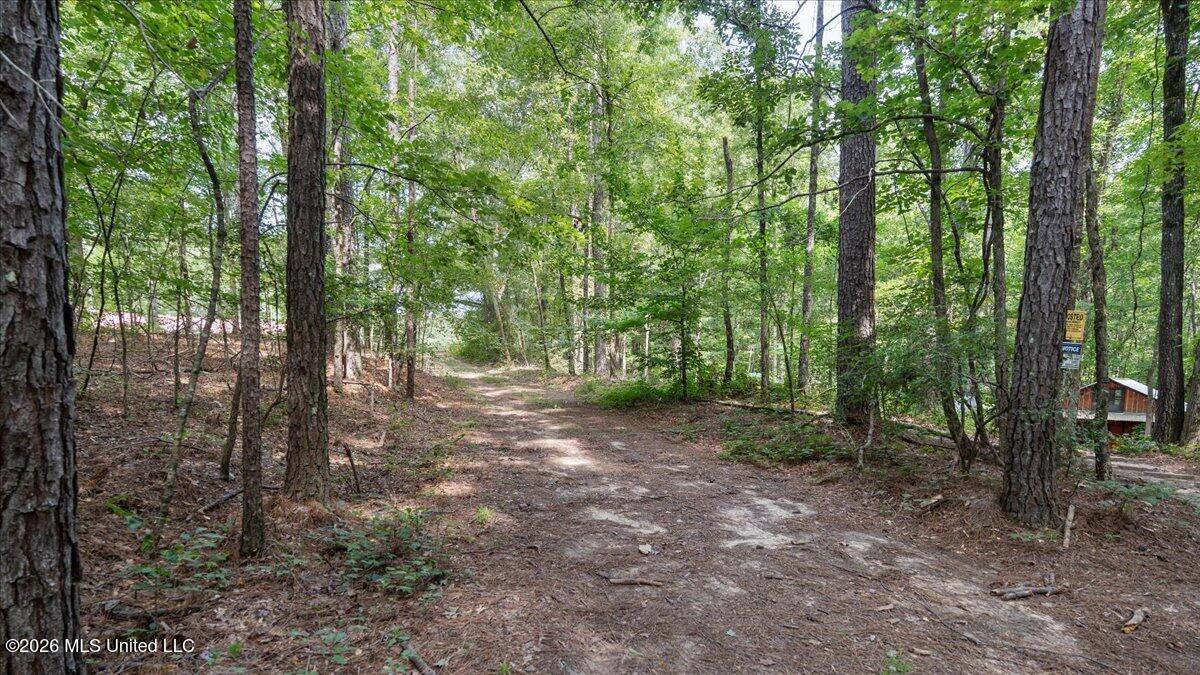 664 Mt Zion Road, Unit 664 Camden, MS 39045 - Photo 36 of 45 37-IMG_3710