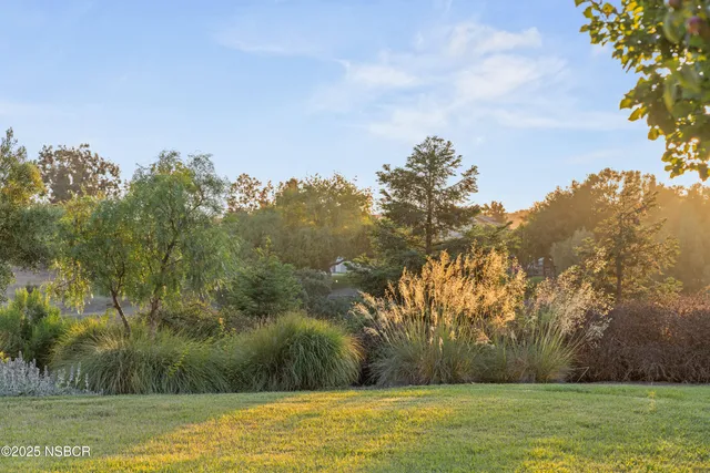 a backyard of a house with lots of green space