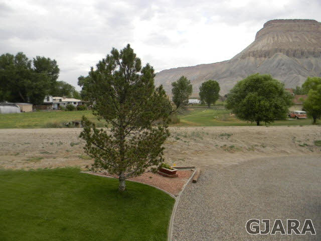 3455 G Road Clifton, CO 81520 - Photo 10 of 28 a view of a field with a tree