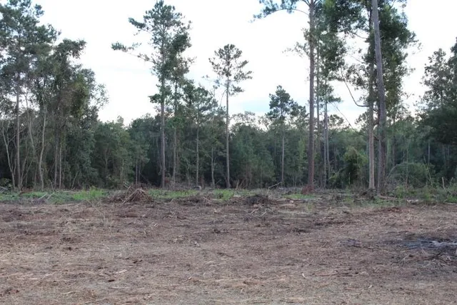 $539,900 | Fla-ga-hwy Highway, Havana, FL 32333