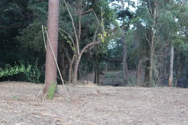 $539,900 | Fla-ga-hwy Highway, Havana, FL 32333