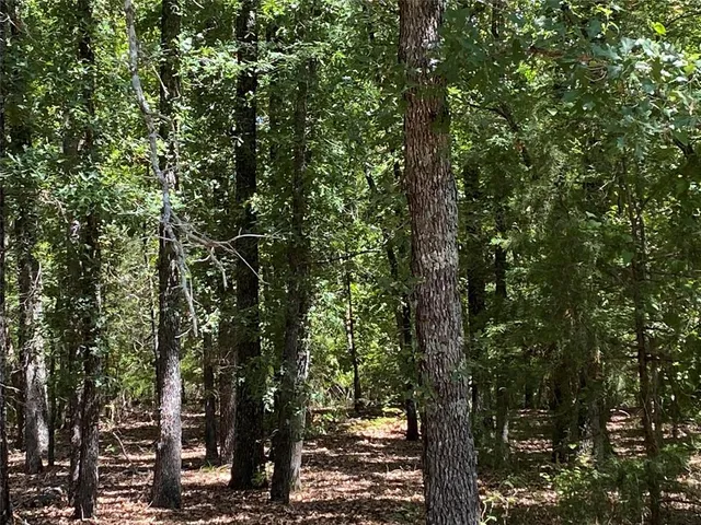 $1,250,000 | 3543 Saltillo Tx 75478, Saltillo, TX 75478