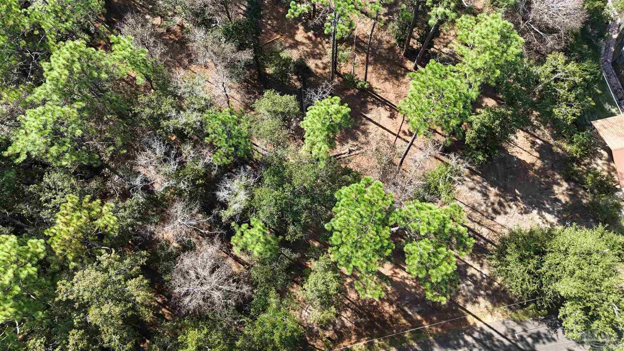 5357 Forest Brook Drive Milton, FL 32583 - Photo 6 of 13