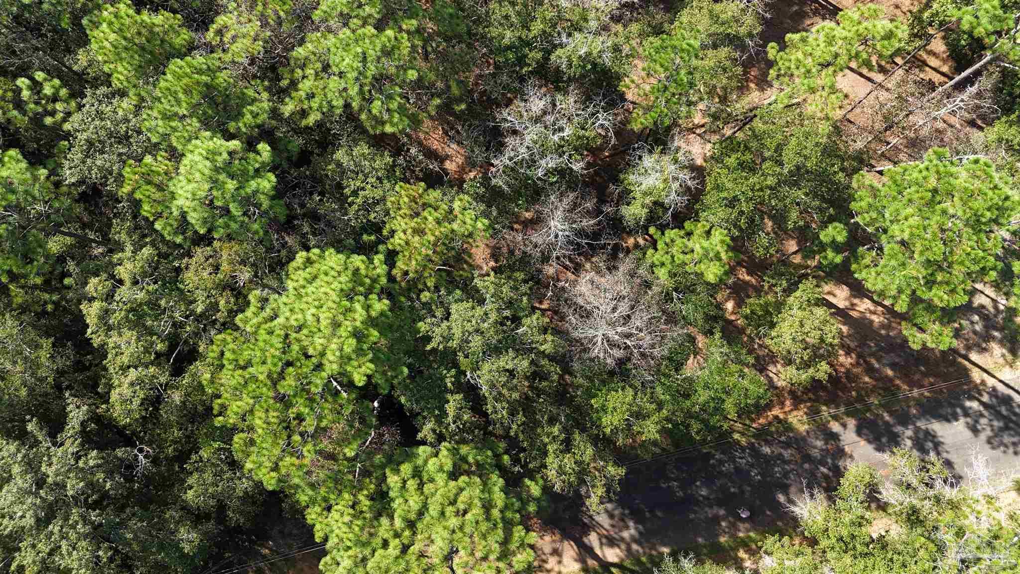 5357 Forest Brook Drive Milton, FL 32583 - Photo 7 of 13