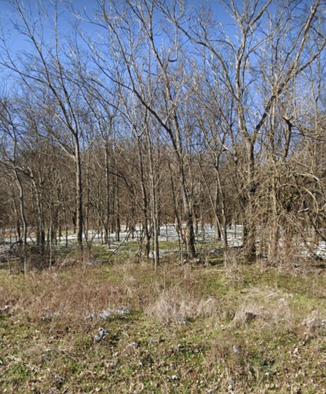 a view of open space with outdoor space