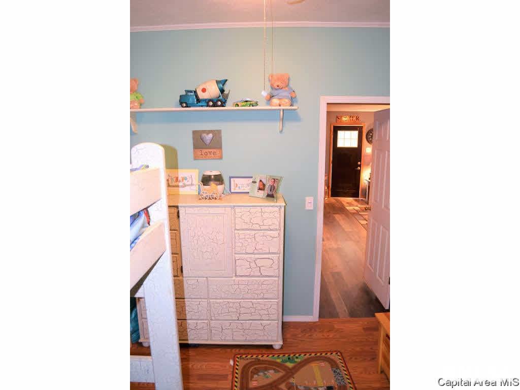 1 Modesto Road Modesto, IL 62667 - Photo 14 of 22