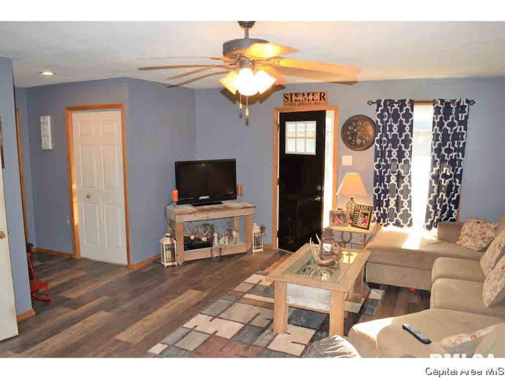 1 Modesto Road Modesto, IL 62667 - Photo 4 of 22