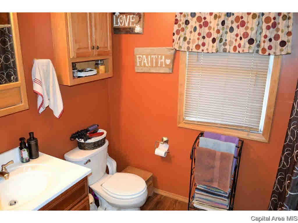 1 Modesto Road Modesto, IL 62667 - Photo 10 of 22