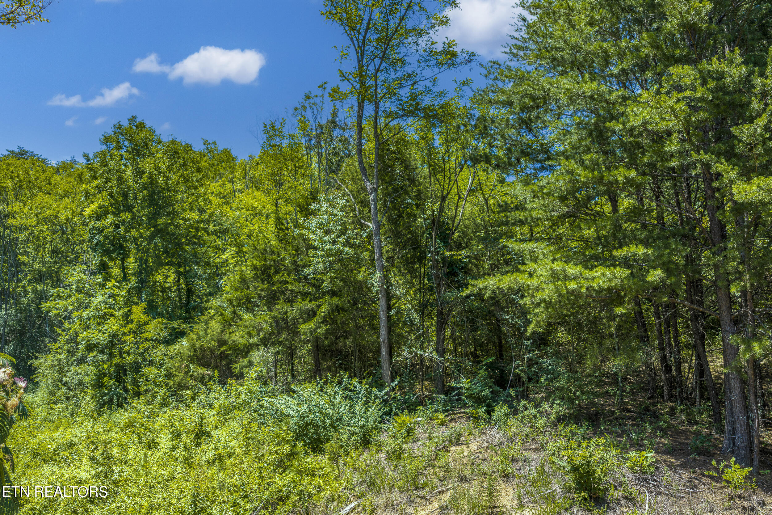 Raejon Way Sevierville, TN 37862 - Photo 39 of 39 DJI_20260702144053_0454_D-HDR