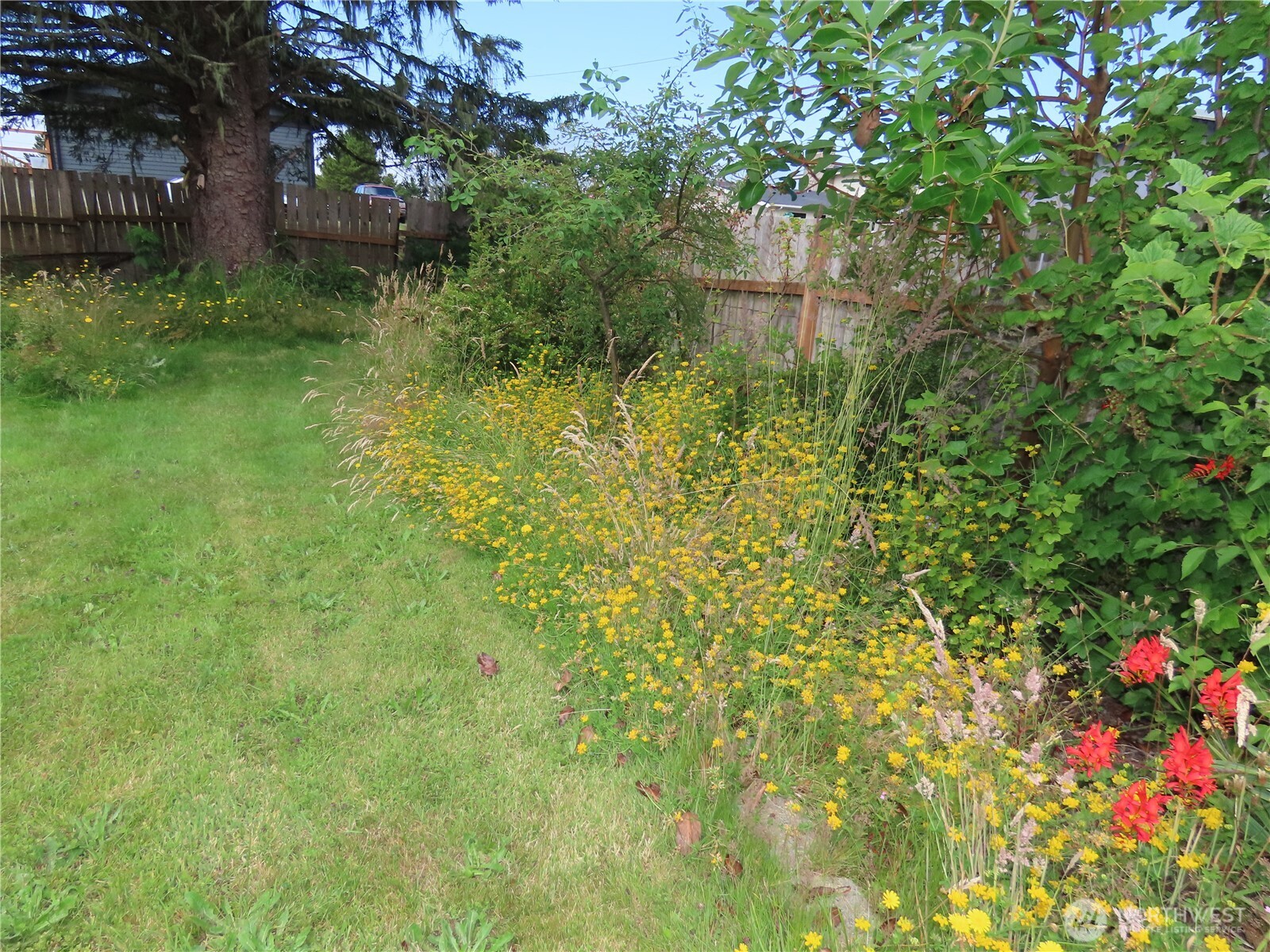 845 Schmid Road Grayland, WA 98547 - Photo 11 of 34 a view of a garden