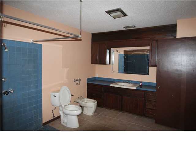 1500 Preservation Path Baker, FL 32531 - Photo 13 of 20 a bathroom with a sink a toilet and shower