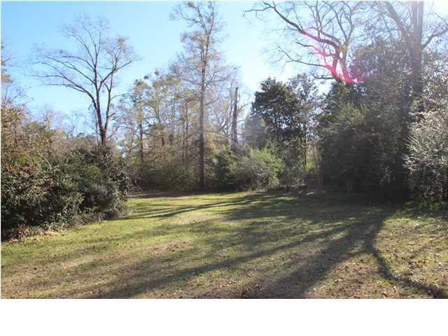 1500 Preservation Path Baker, FL 32531 - Photo 19 of 20 a view of a backyard of the house