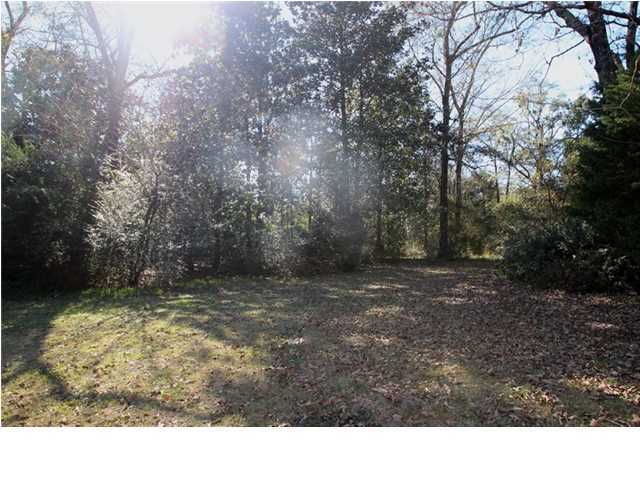 1500 Preservation Path Baker, FL 32531 - Photo 20 of 20 a view of a backyard