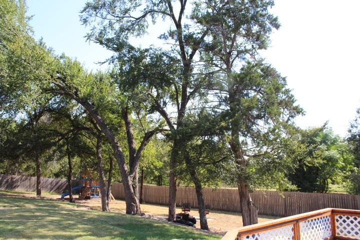2020 Arbor Bend Road Bonham, TX 75418 - Photo 19 of 19 Expansive backyard featuring a manicured lawn, mature trees, and a wood privacy fence