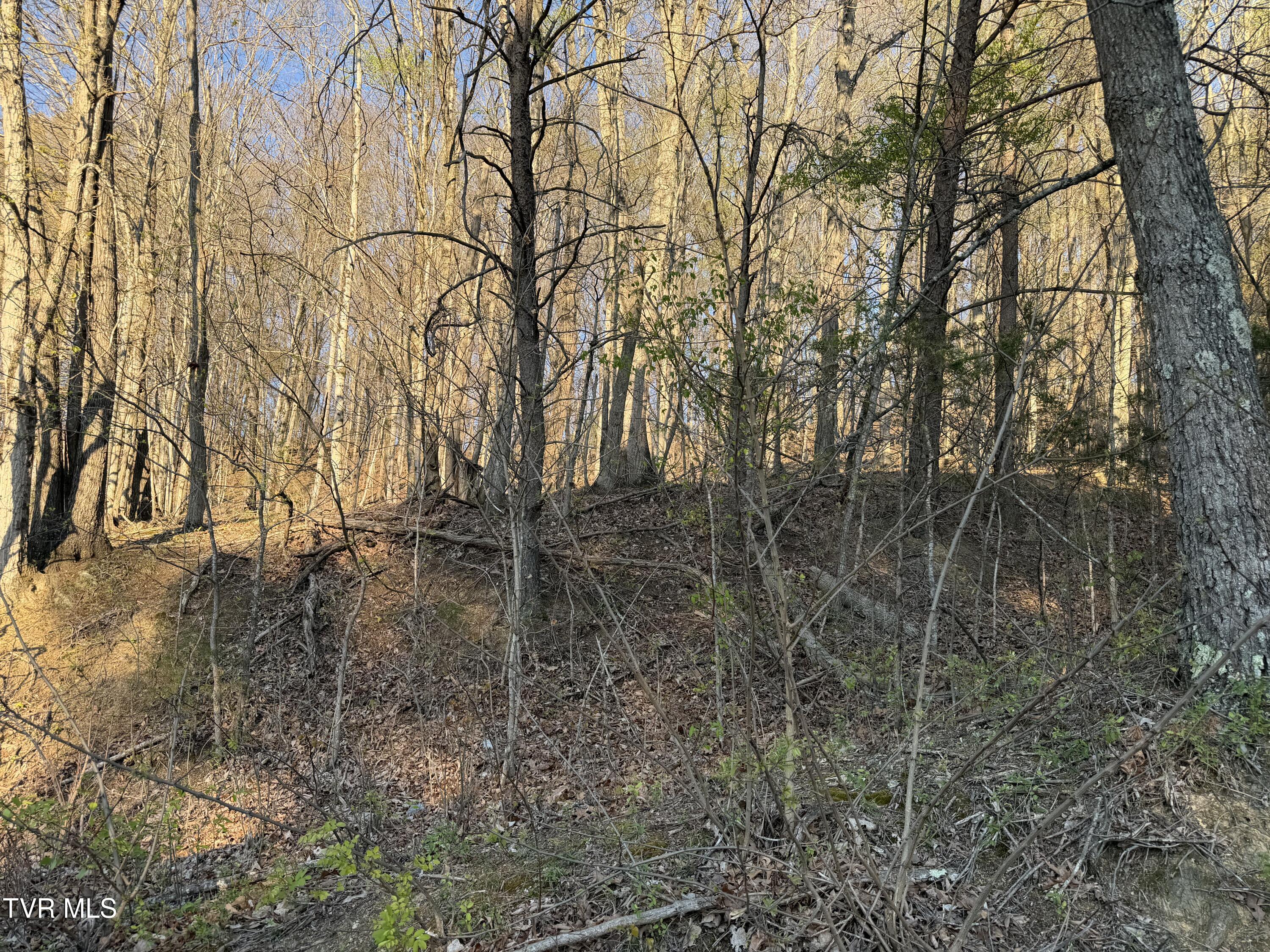 Tbd Possum Hollow Road, Unit 5 Johnson City, TN 37615 - Photo 3 of 8 IMG_7507