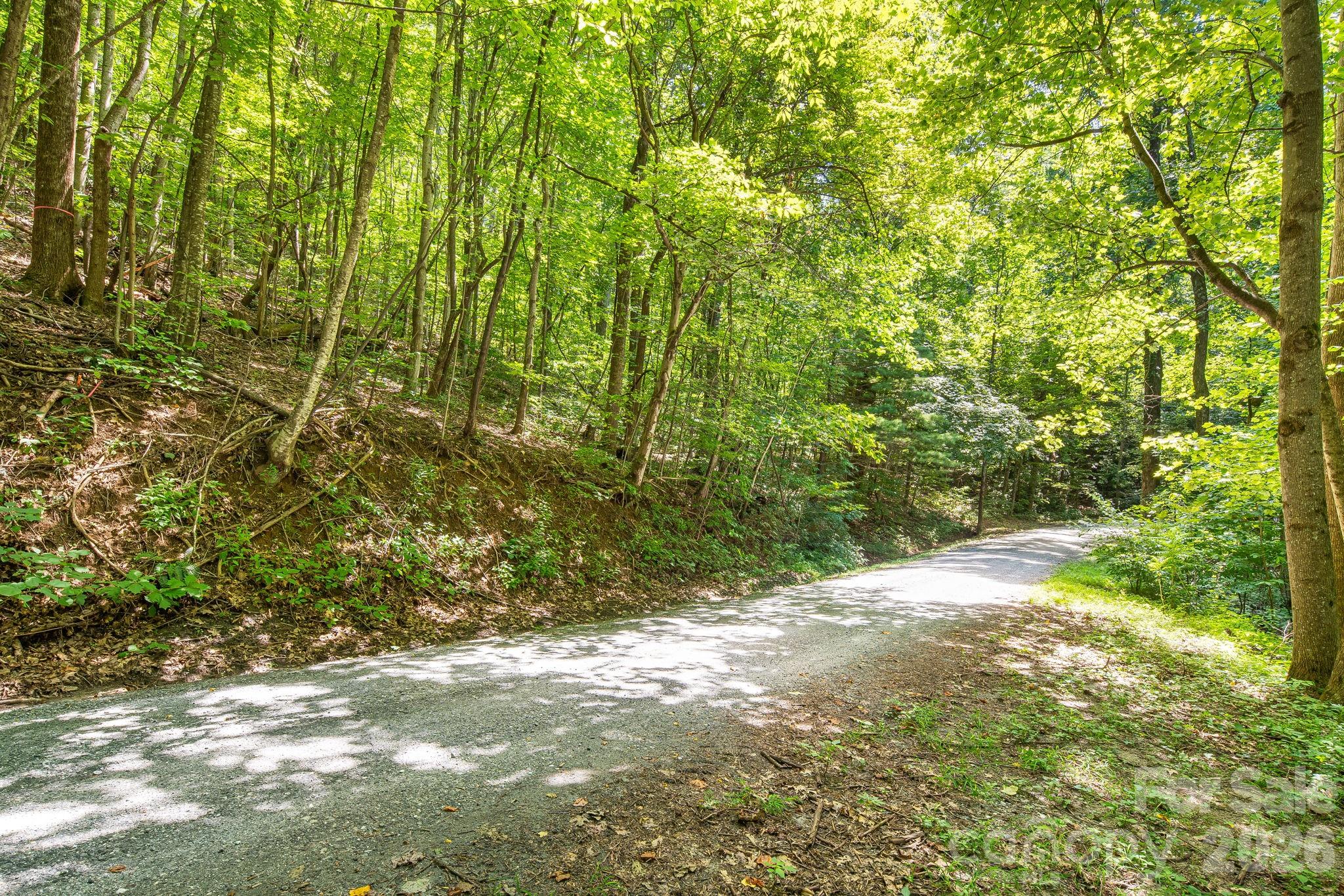 Lot 341 Melrose Mountain Road Tryon, NC 28782 - Photo 7 of 11 Gallery Image 7