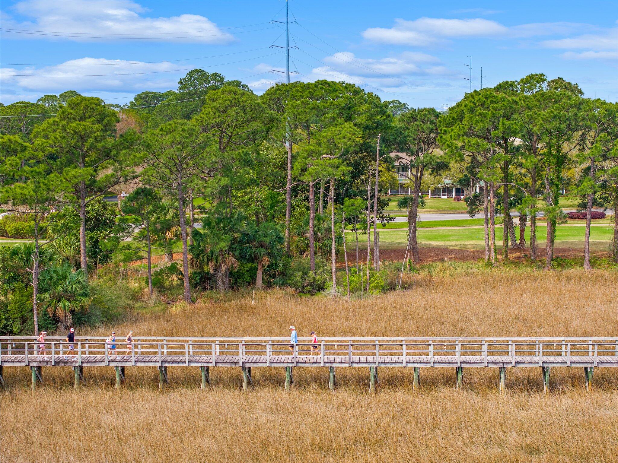 8983 Heron Walk Drive, Unit 8983 Miramar Beach, FL 32550 - Photo 35 of 57 a view of a lake with a large trees