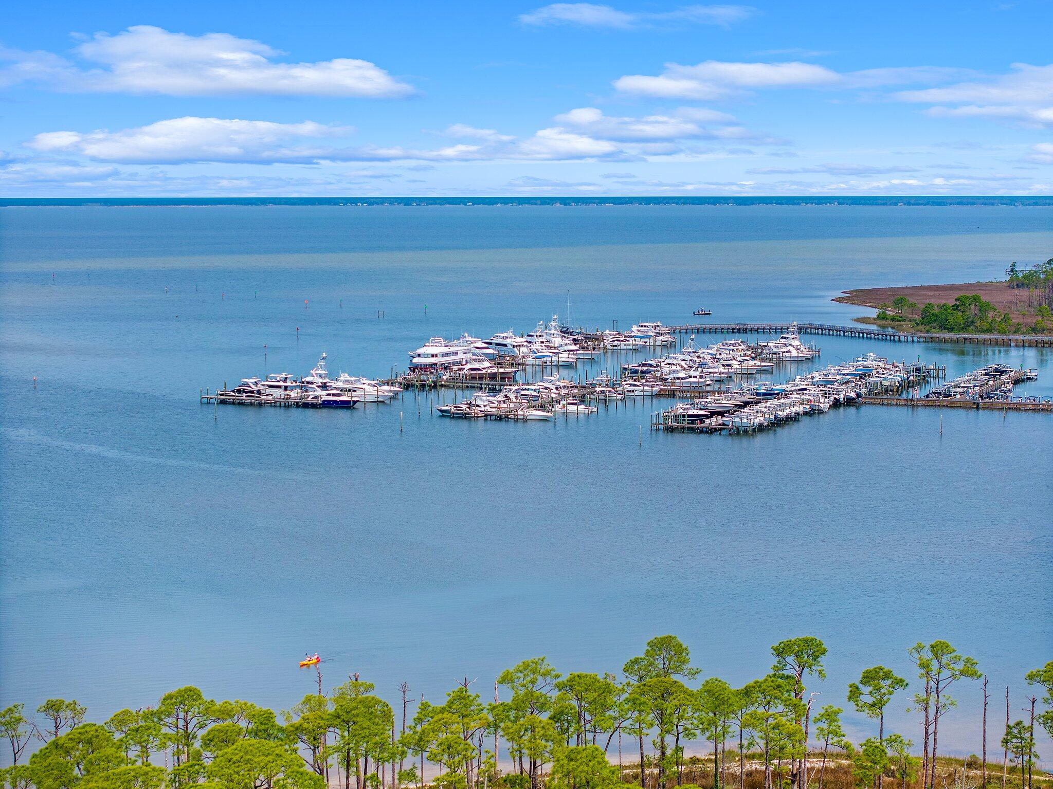 8983 Heron Walk Drive, Unit 8983 Miramar Beach, FL 32550 - Photo 48 of 57 a view of a lake with houses