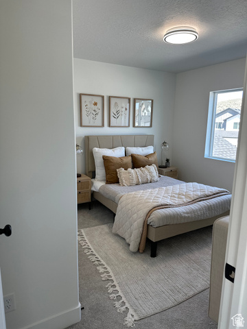 7927 Bristlecone Road, Unit 204 Eagle Mountain, UT 84005 - Photo 8 of 19 Bedroom with carpet flooring and a textured ceiling