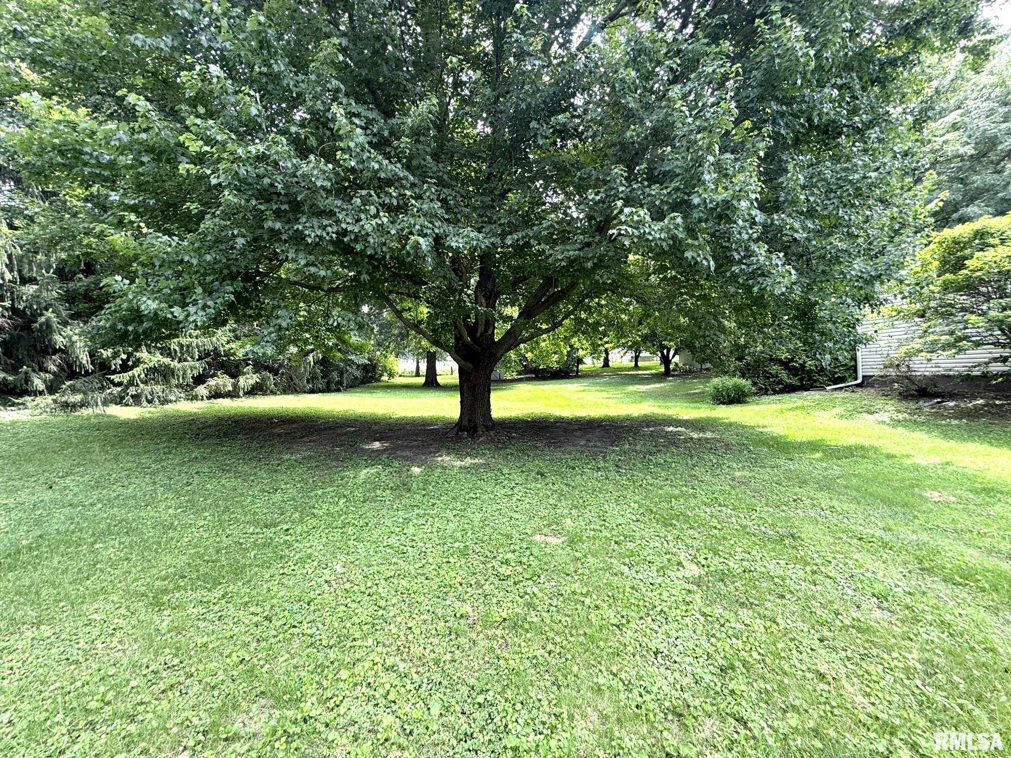 109 South State Street Henderson, IL 61439 - Photo 4 of 38